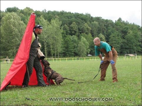 Training camp - Lukova 2007